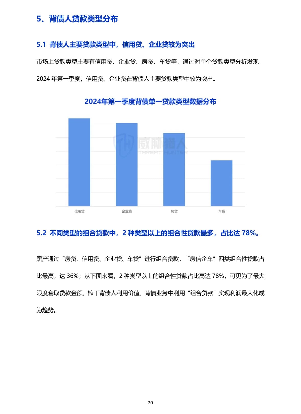 金融欺诈中的亡命之徒：职业背债风险研究原 PDF 第 20 页：职业背债贷款类型组合