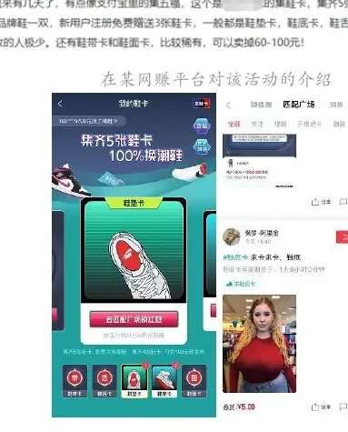 案例:利用集鞋卡活动进行牟利的“追鞋人”图表（原报告第 111 页）