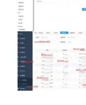 二、2022 年 API 安全缺陷分析图表（原报告第 13 页）