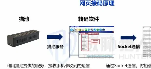 传统黑手机卡图表 1（原报告第 14 页）