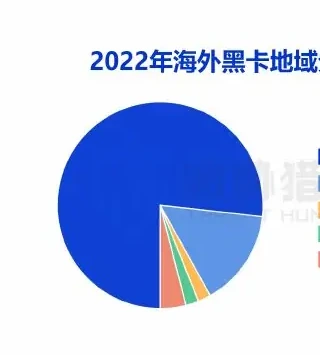 海外黑卡图表 2（原报告第 16 页）