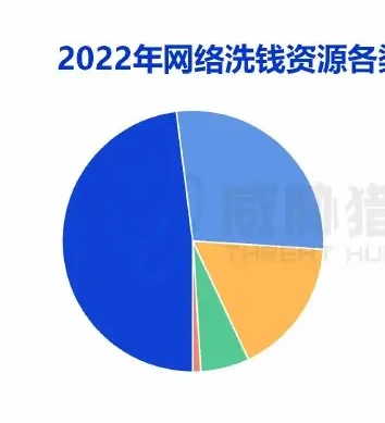 银行卡、第三方支付、虚拟货币成主要网络洗钱资源图表（原报告第 20 页）
