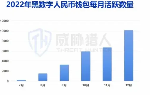 数字人民币图表 2（原报告第 23 页）