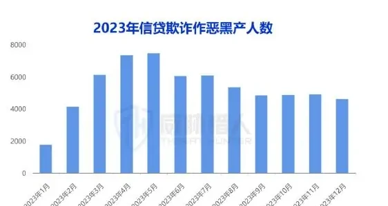 信贷作弊图表（原报告第 44 页）