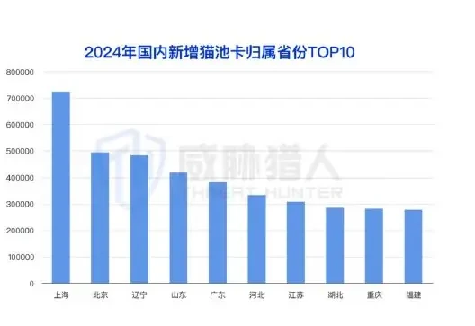 2024 年「猫池卡」资源分析图表 1（原报告第 8 页）