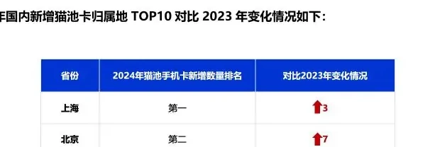 2024 年「猫池卡」资源分析图表（原报告第 9 页）