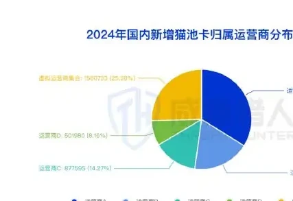 2024 年「猫池卡」资源分析图表（原报告第 11 页）