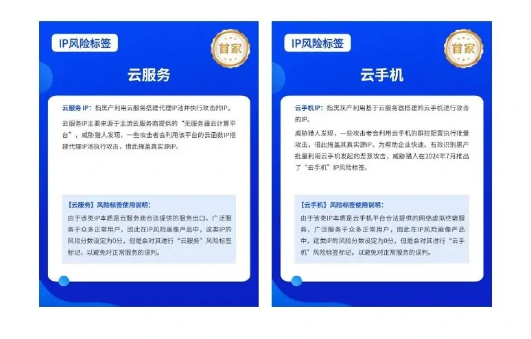2024 年国外作恶 IP 资源分析图表（原报告第 20 页）