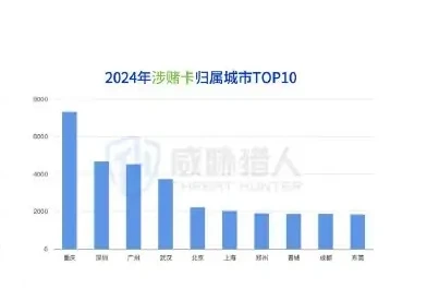 2024 年涉及洗钱的银行卡资源分析图表 6（原报告第 24 页）