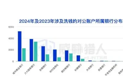 2024 年对公洗钱账户资源变化分析图表（原报告第 26 页）