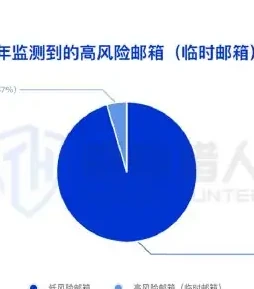2024 年风险邮箱资源分析图表 1（原报告第 32 页）