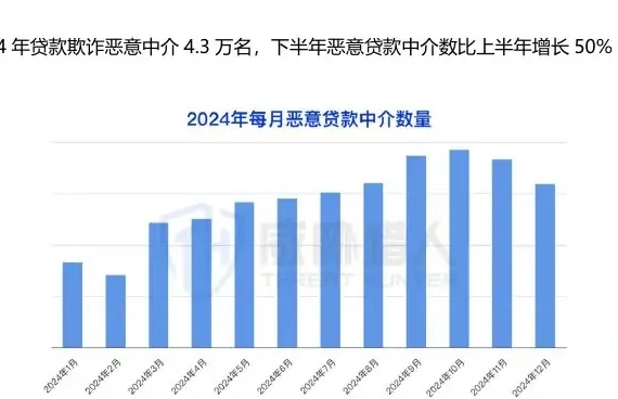 2024 年贷款欺诈产品类型热度 TOP3:企业贷、信用贷、房抵贷图表 2（原报告第 53 页）