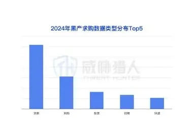 贷款类、网购类、股票类、招聘类等数据下游需求旺盛图表 1（原报告第 25 页）