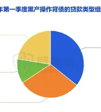 背债人主要贷款类型中,信用贷、企业贷较为突出图表 1（原报告第 21 页）