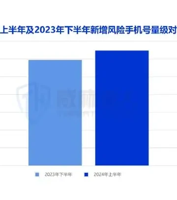 2024 年上半年风险 IP 总量较 2023 年下半年增长 44.8%图表（原报告第 8 页）