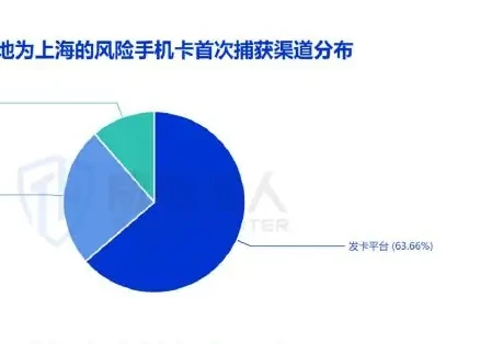 2024 年上半年猫池卡资源变化趋势图表 2（原报告第 13 页）