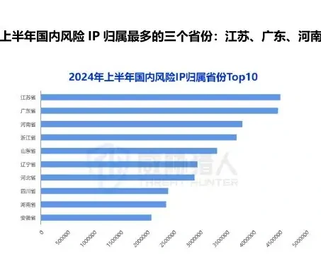 2024 年上半年风险 IP 资源变化趋势图表 1（原报告第 19 页）