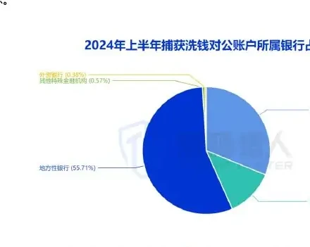 2024 年上半年涉及洗钱的对公账户资源变化图表（原报告第 26 页）