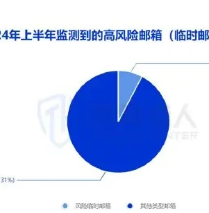 2024 年上半年风险邮箱资源变化图表 1（原报告第 29 页）