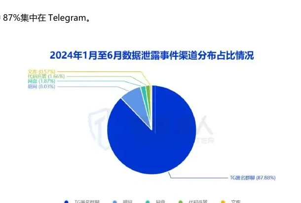 Telegram 及暗网依旧活跃,在数据泄露渠道中占比高达 95%图表 2（原报告第 9 页）