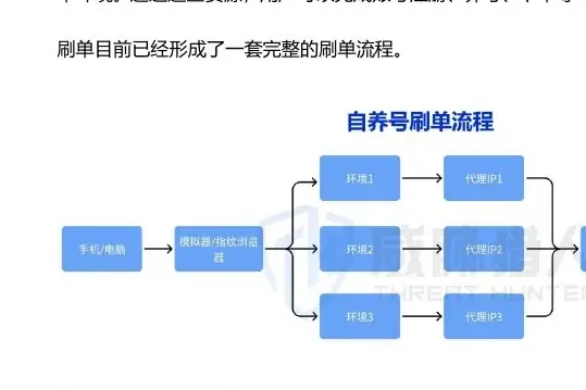 自养号刷单图表（原报告第 21 页）