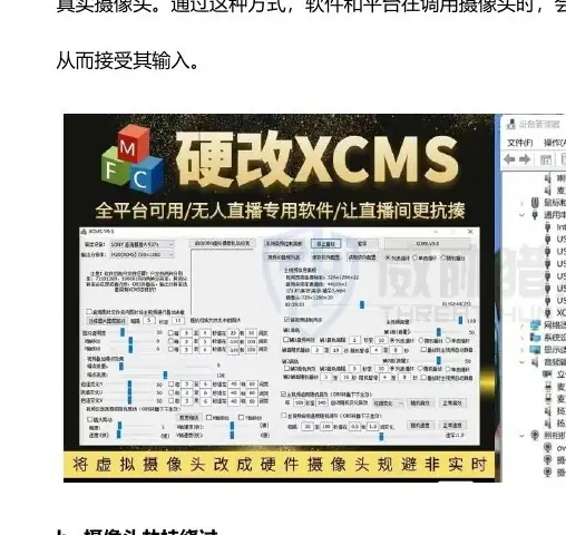 认证绕过的方法和技术(1)真人绕过图表 1（原报告第 29 页）
