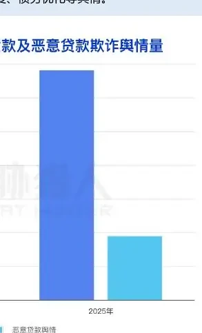 一、2025 年信贷欺诈风险概况图表 1（原报告第 6 页）