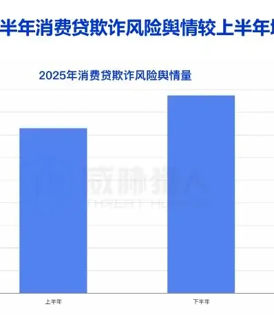 2025 年消费贷欺诈风险地区热度 TOP5 省份:四川、山东、河南、安徽、重庆图表 1（原报告第 33 页）