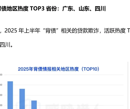 2025年上半年职业背债情报相关地区热度前十柱状图