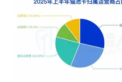 2025 年国内拦截手机卡资源变化趋势图表（原报告第 9 页）