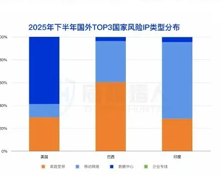 2025 年上半年国外作恶 IP 资源分析图表 2（原报告第 21 页）
