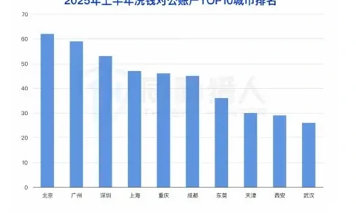 2025 年上半年对公洗钱账户资源变化分析图表 1（原报告第 31 页）
