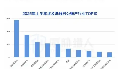 2025 年上半年对公洗钱账户资源变化分析图表 2（原报告第 31 页）