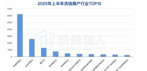 2025 上半年参与洗钱的商户资源变化分析图表 3（原报告第 33 页）