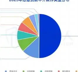(2) 2025 年上半年恶意贷款主要欺诈类型 TOP3:职业背债、债务优化、征信修复图表 2（原报告第 59 页）