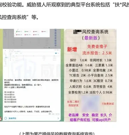 以“借款记录信息”类数据为核心的信贷风控产业链已然形成图表（原报告第 28 页）