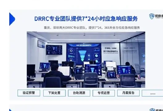 四、威胁猎人数据泄露风险情报服务图表 1（原报告第 39 页）