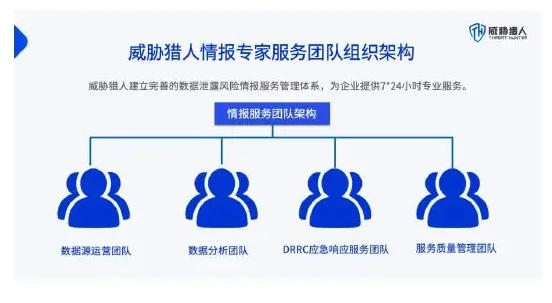 四、威胁猎人数据泄露风险情报服务图表 2（原报告第 39 页）